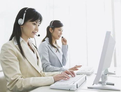 英語專業畢業生的黃金賽道 聚焦信息咨詢服務，開啟無限職業可能