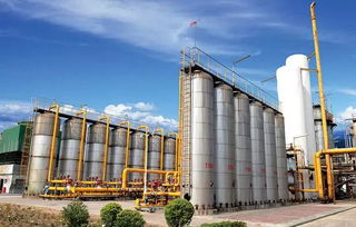 慶祝新中國(guó)成立70周年 平煤神馬集團(tuán)11個(gè)化工新材料重點(diǎn)項(xiàng)目集中開(kāi)竣工